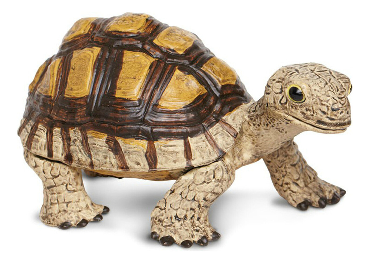 Figura Realista Tortuga Tierra Detallada Safari Trex