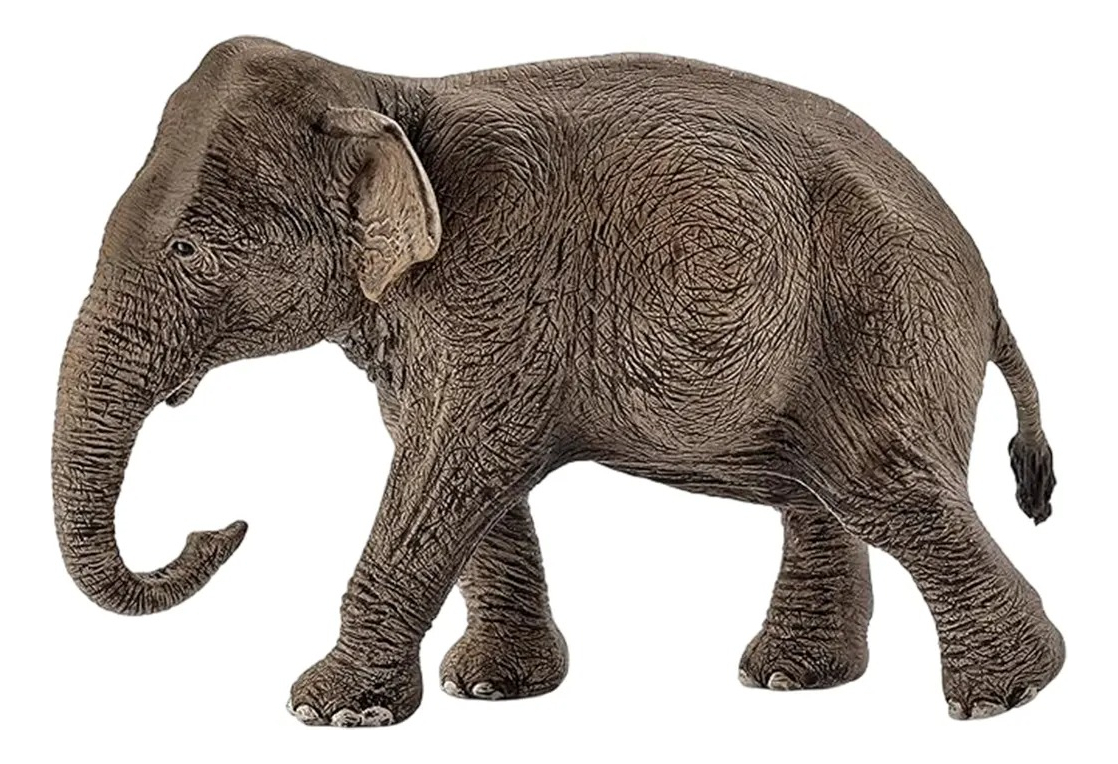 Figura Coleccionable Schleich Elefante Hembra Asiatico 14753