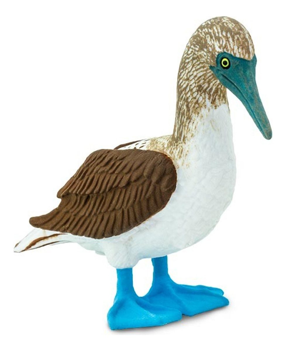 Figura Muñeco Safari Piquero Patiazul Ave Juguete Infantil