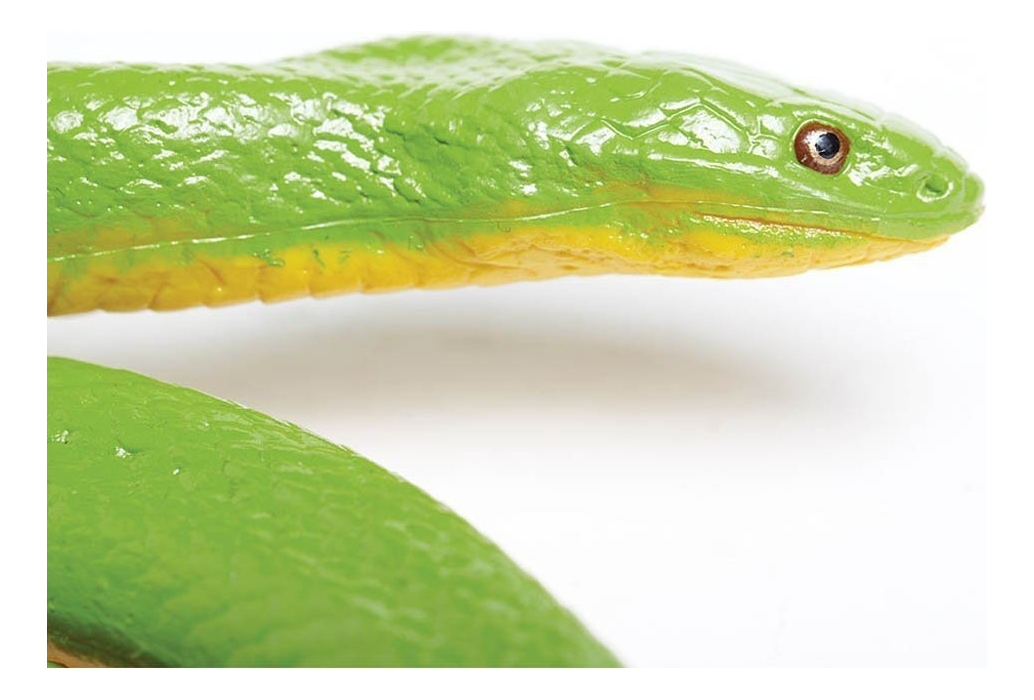 Serpiente Snake Verde Figura Safari Muñeco Escala Calidad Tx