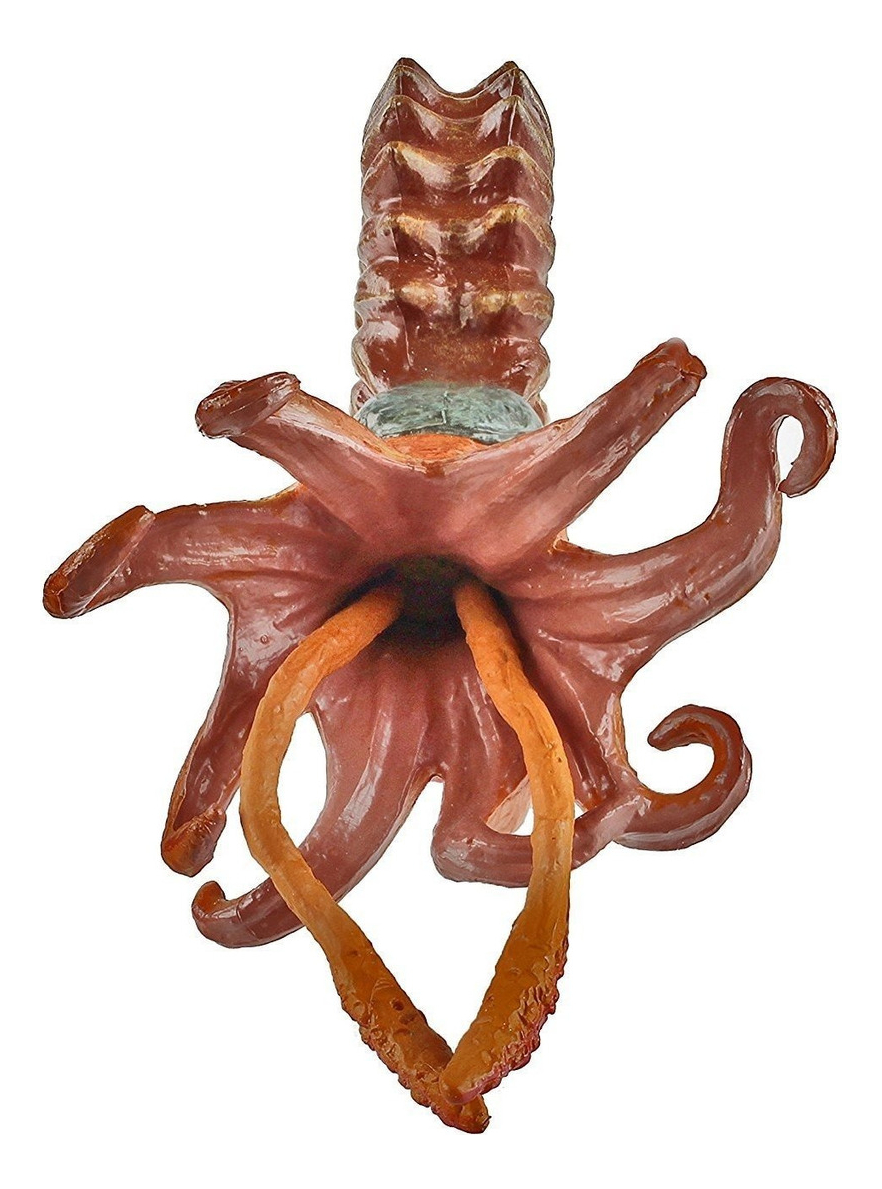 Caracol Ammonite Safari Muñeco Marino Coleccion Realista Tx
