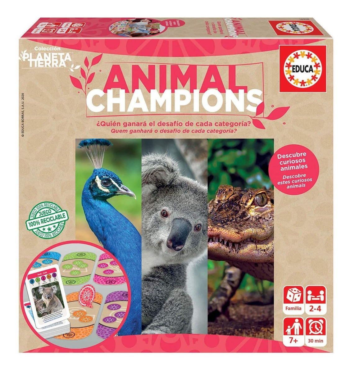 Puzzle Animal Champions Rompecabezas Didactico Educa Trex