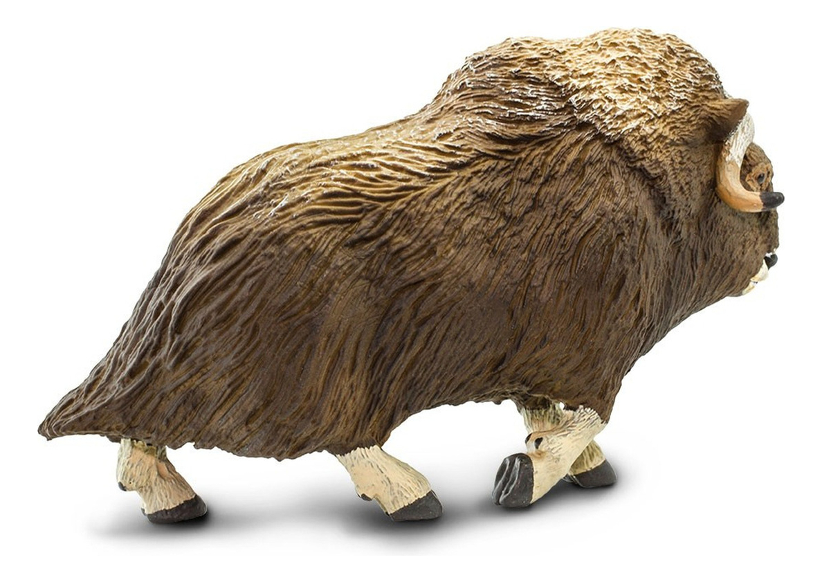 Buey Almizclero Mamifero Escala Safari Muñeco Animal Trex