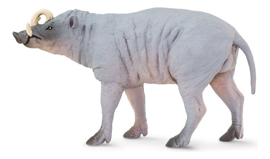 Babirusa Cerdo Safari Figura Muñeco Real Mamífero Niños Tx