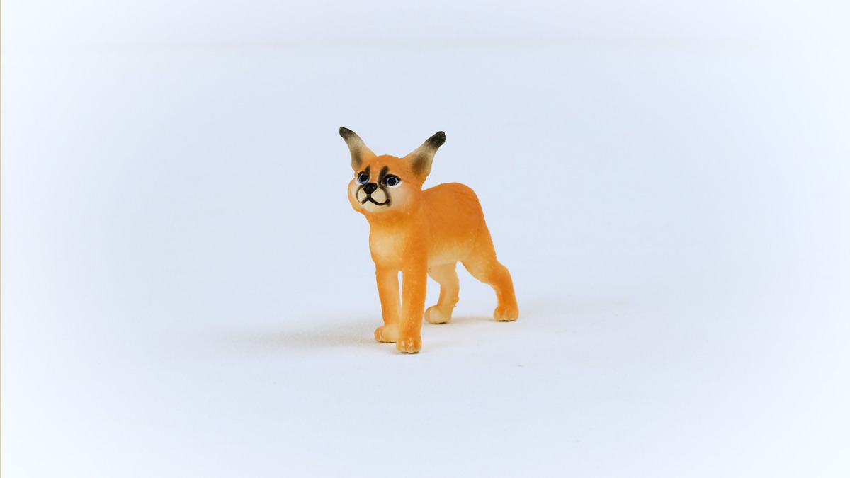 Figura Caracal Bebé Cria Schleich Wild Life Realista Trex