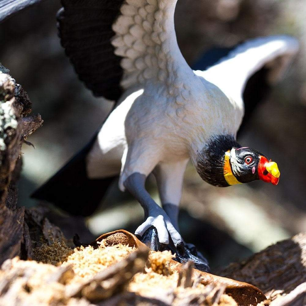 Condor De Selva Real Safari Figura Muñeco Realista Juguete