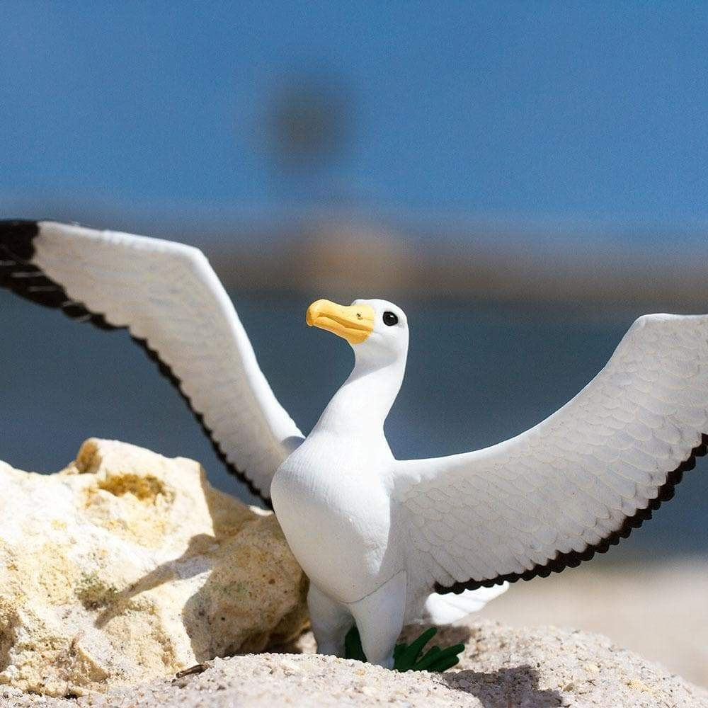 Figura Albatros Gigante Ave Marina Safari Muñeco Niño Trex
