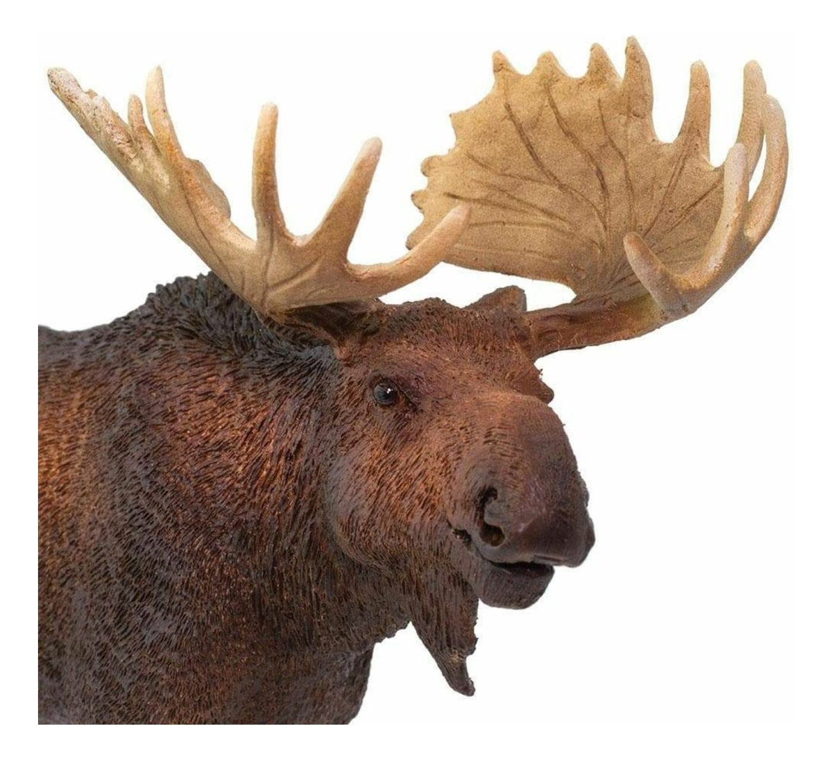 Alce Moose Safari Figura Colección Muñeco Realista Trex