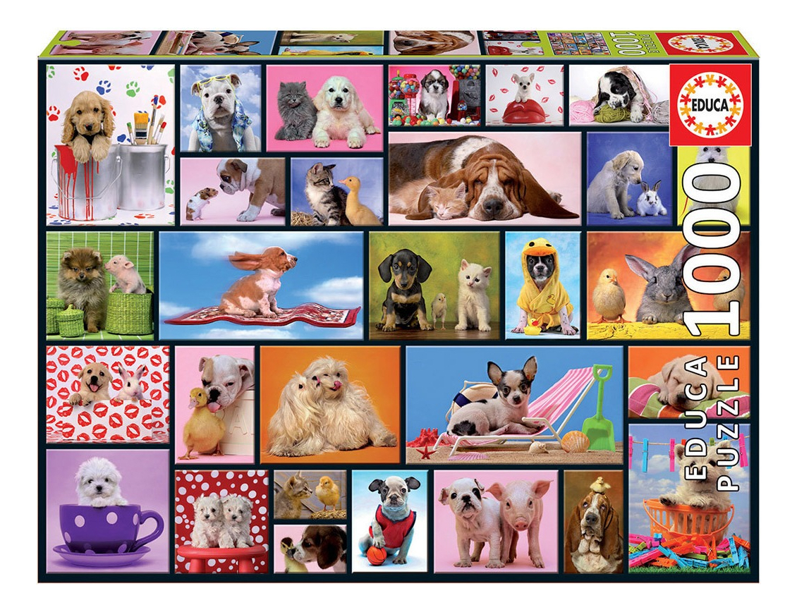 Puzzle Educa Rompecabeza Momentos Animales 1000 Piezas Trex