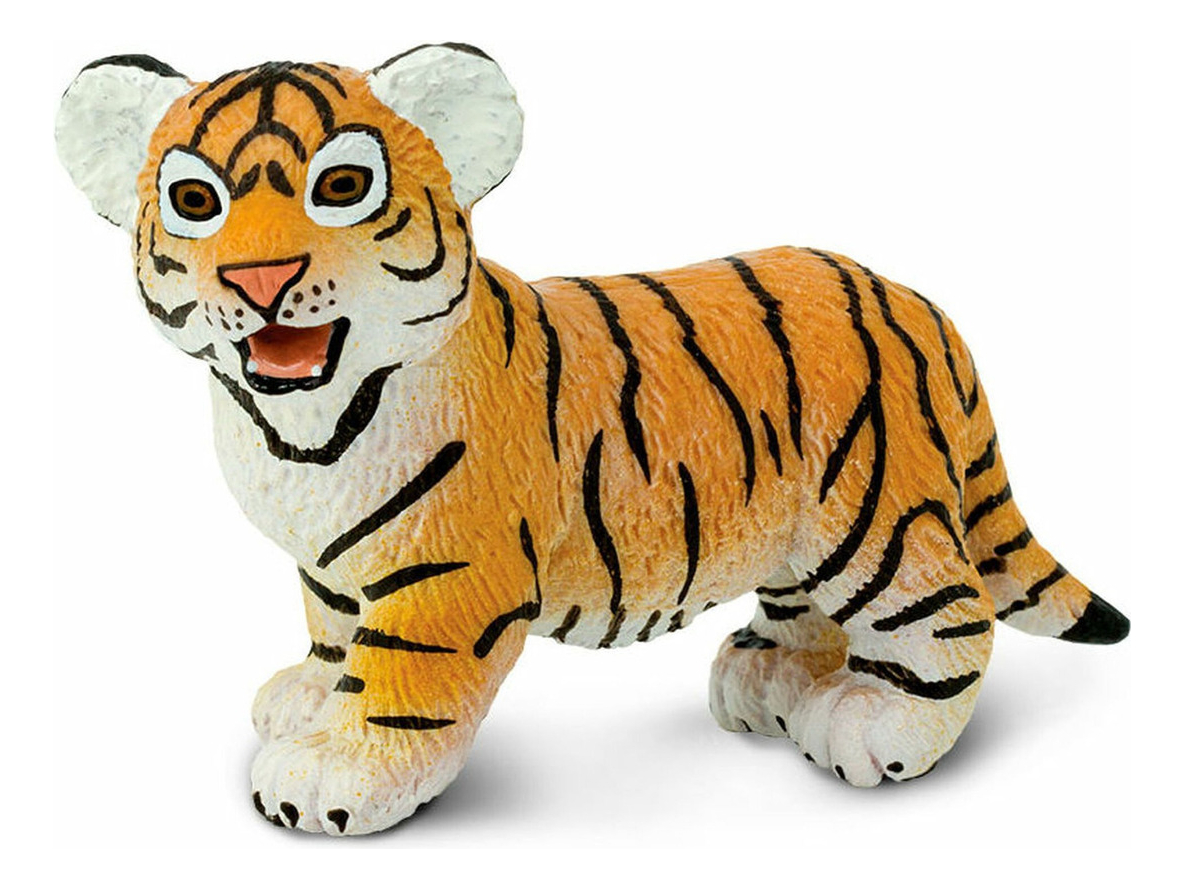 Tigre Bengala Bebé Mamifero Safari Felino Realista Niño Tx