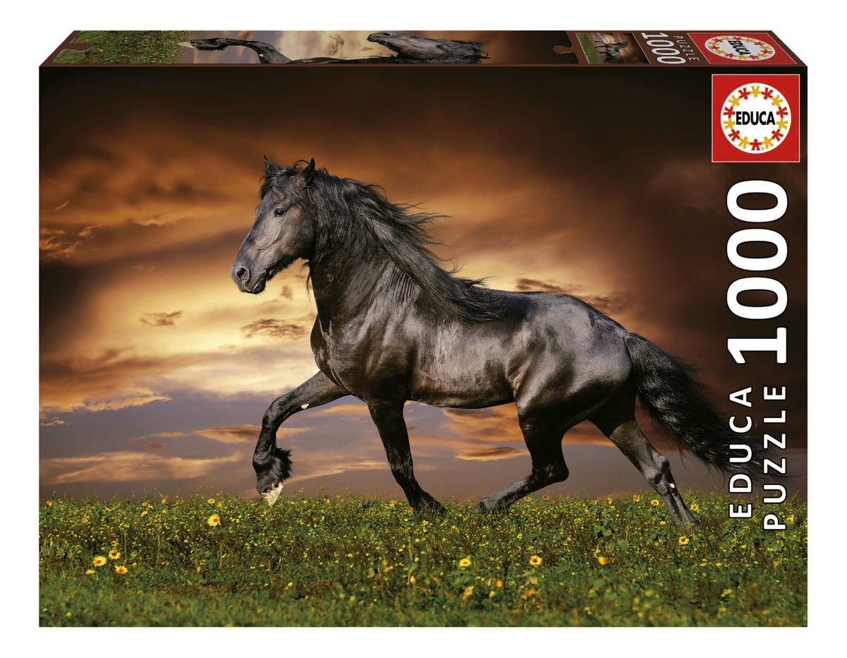 Puzzle Rompecabezas Caballo Al Trote 1000 Pcs Educa Trex