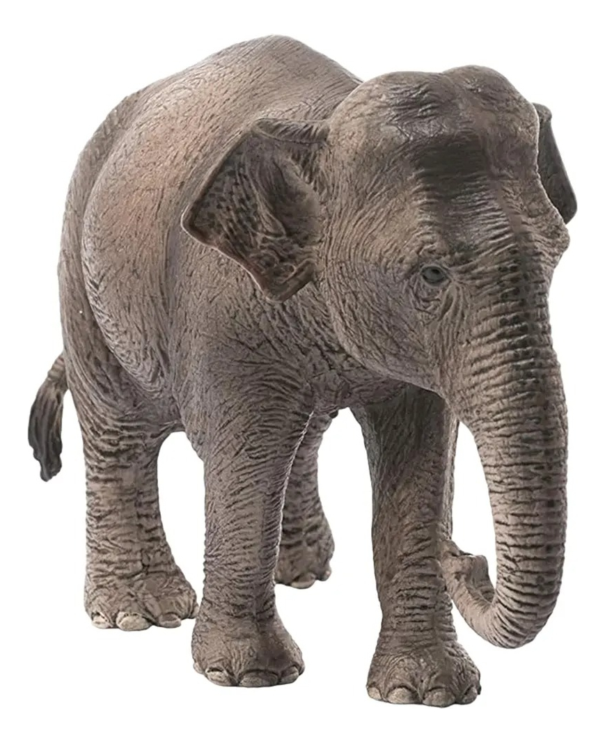Figura Coleccionable Schleich Elefante Hembra Asiatico 14753