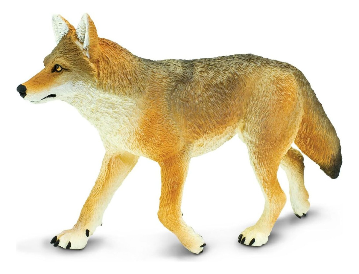 Figura Realista Coyote Norteamericano Salvaje Safari Trex