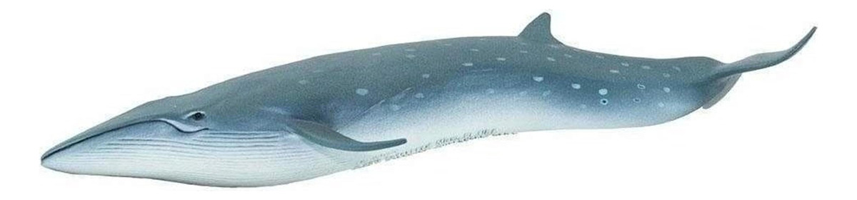 Juguete Safari Para Niño Animal Ballena Sei Figura Grande
