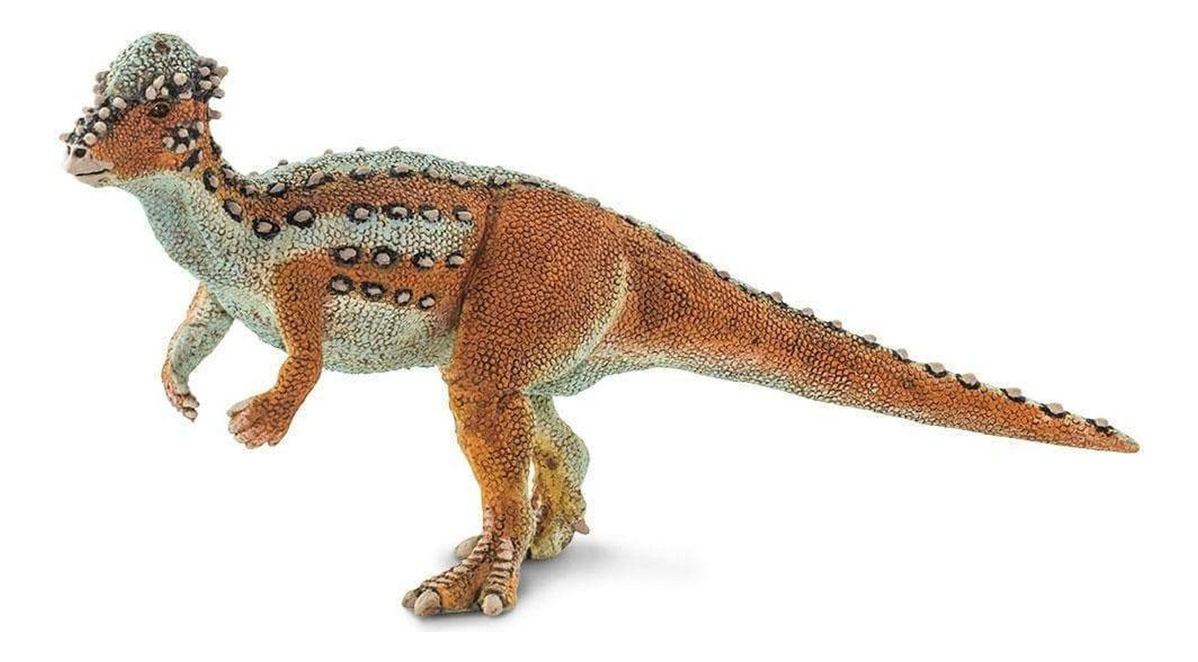 Juguete Safari Figura Dinosaurio Pachycephalosaurus Niño Tx