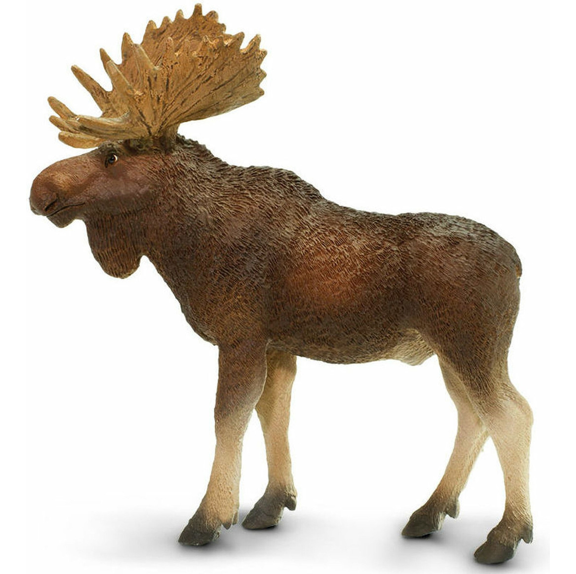 Alce Macho Safari Figura Muñeco Safari Animal Colección Tx