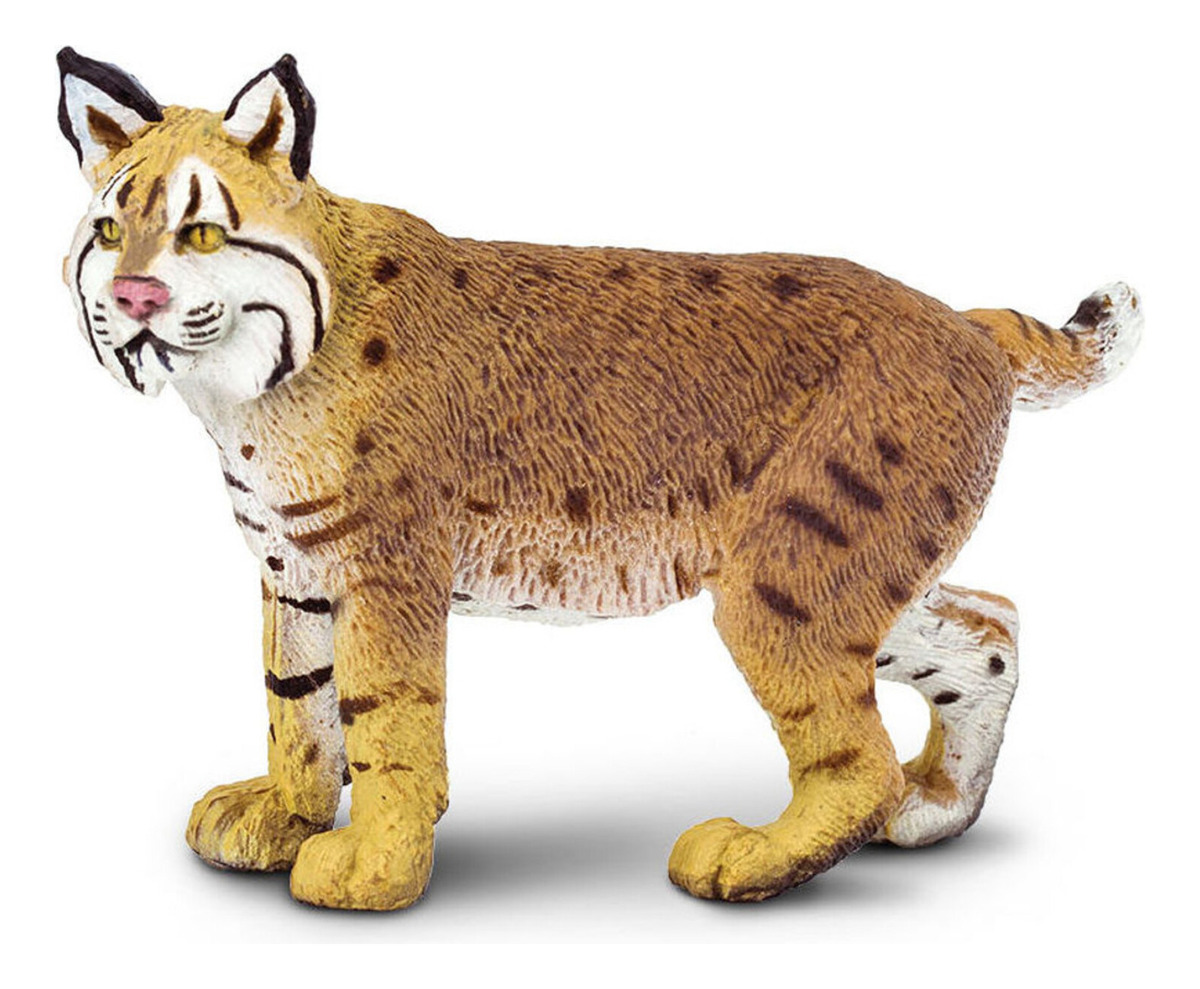 Figura Realista Lince Rojo Salvaje Norteamericano Safari Tx