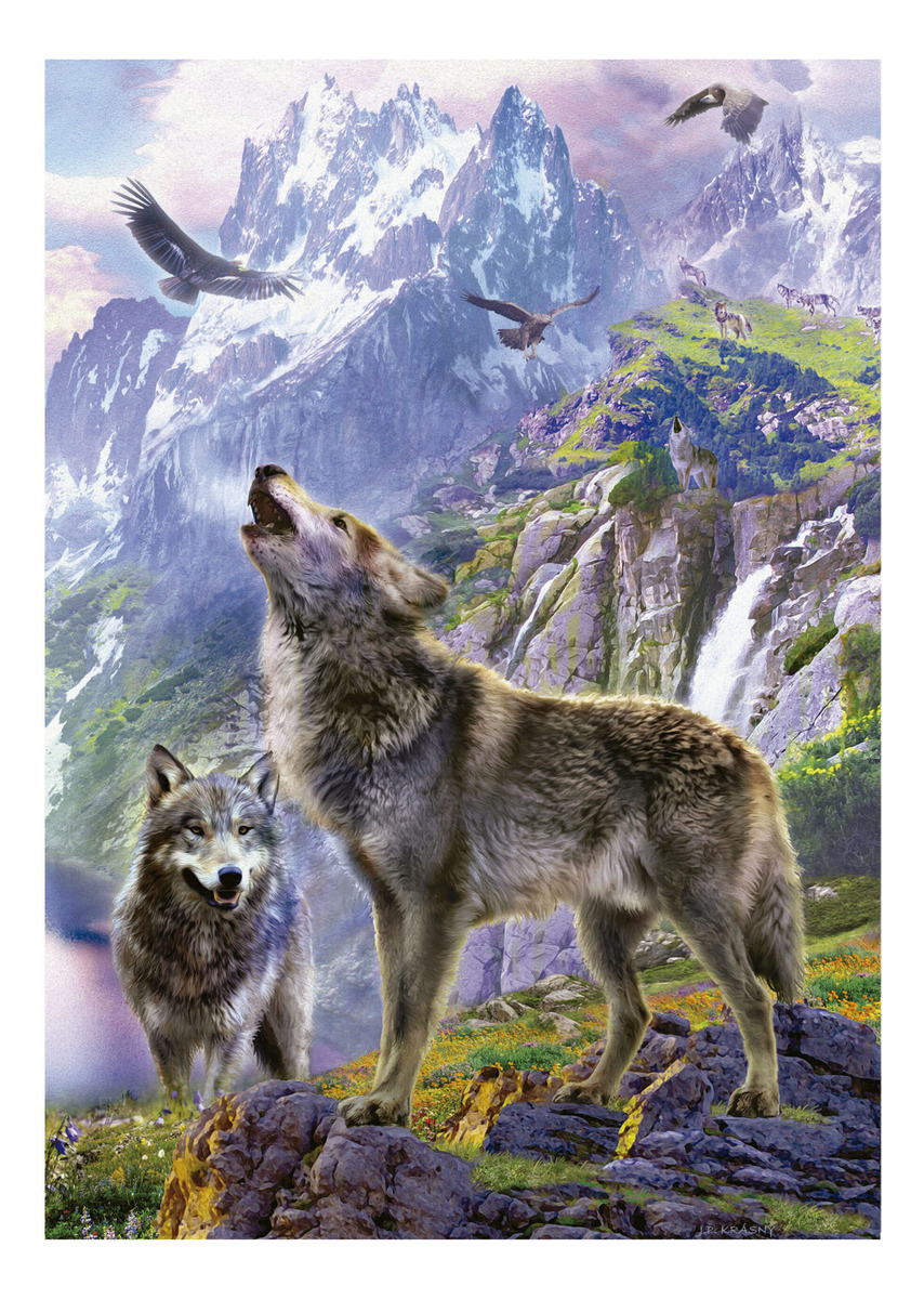 Puzzle Rompecabezas Lobos En Las Rocas 500 Piezas Educa Trex