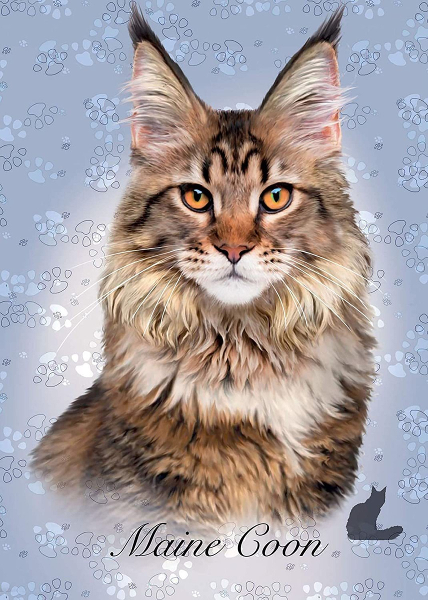 Puzzle 100 Piezas Gato Maine Rompecabezas Gatito Educa Tx