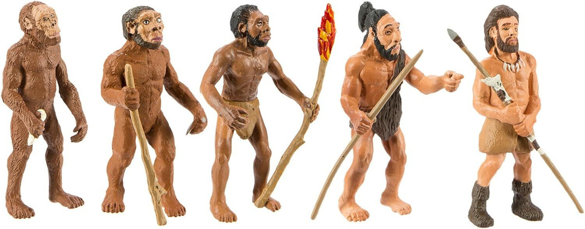 Figura Safari Evolucion Del Hombre Didactico Infantil Trex