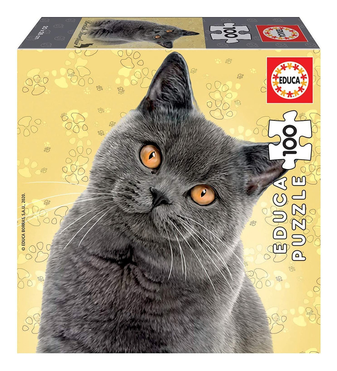 Puzzle 100 Piezas Gato Britanico Rompecabezas Gatito Educa