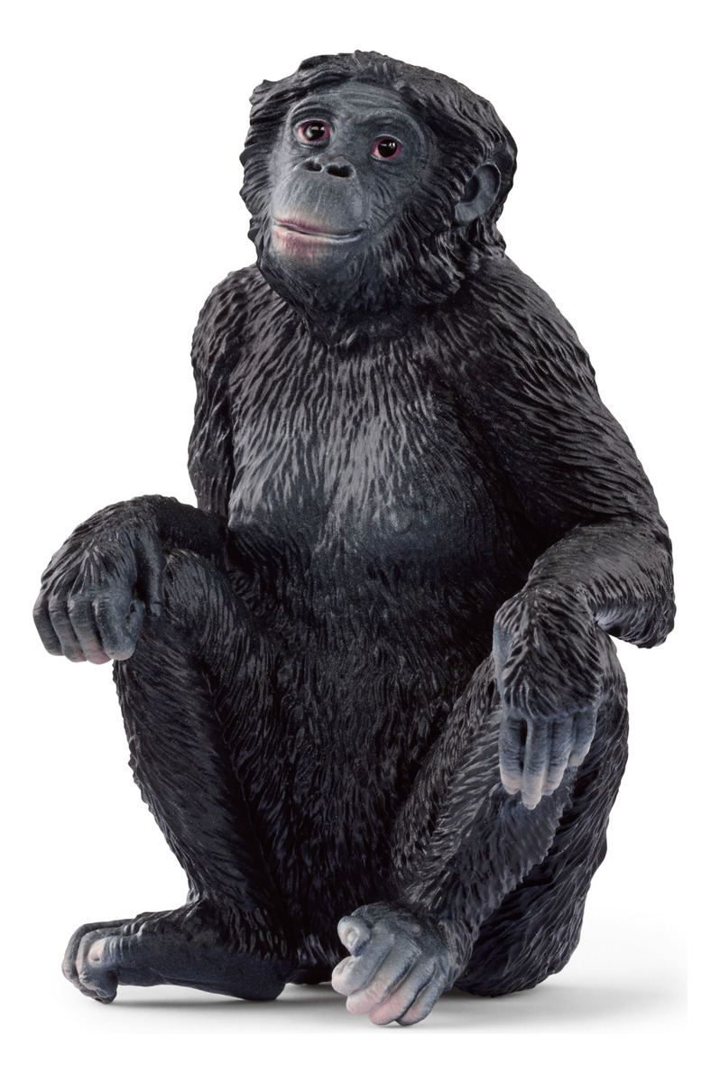 Figura Bonobo Femenina Schleich Wild Life Trex