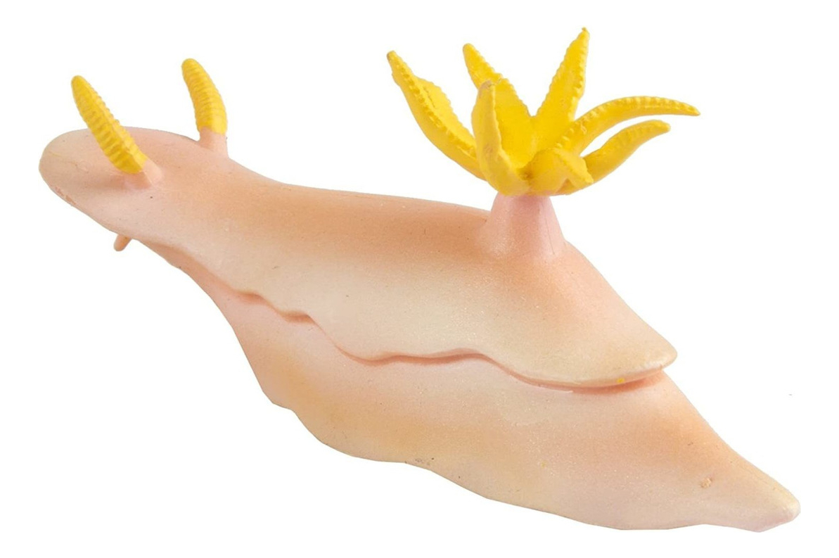 Molusco Marino Nudibranquio Safari Muñeco Coleccionable Tx