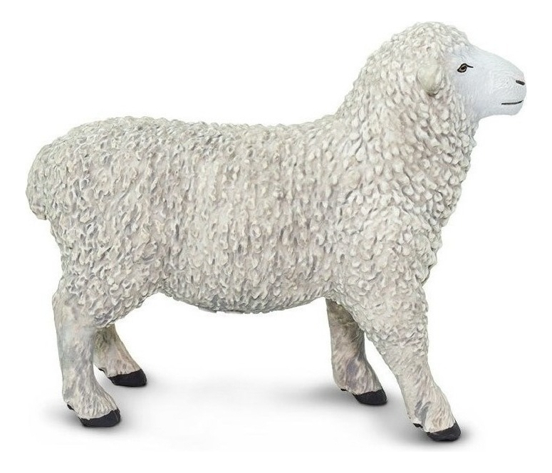 Safari Oveja Animal Figura Coleccion Original Ovejita Trex
