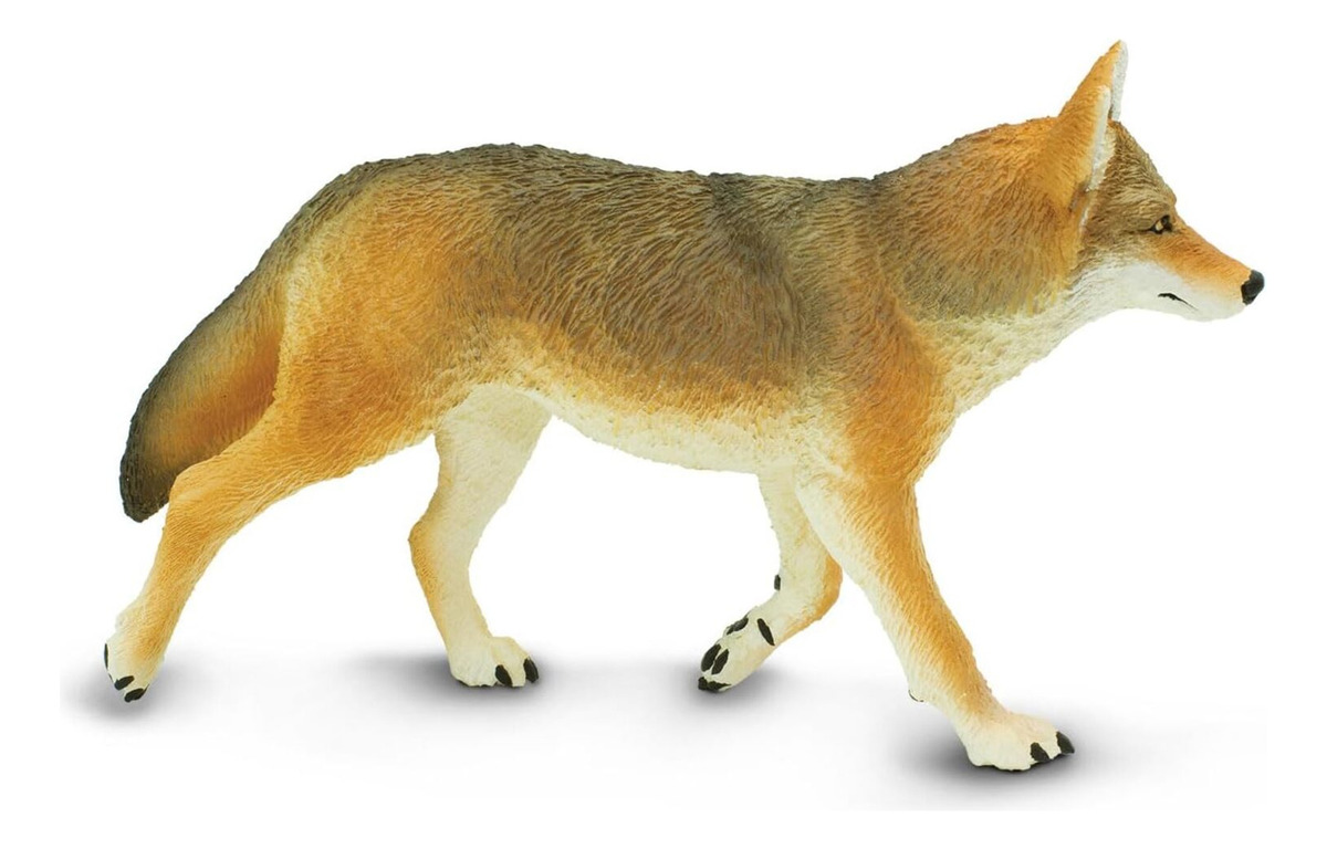 Figura Realista Coyote Norteamericano Salvaje Safari Trex