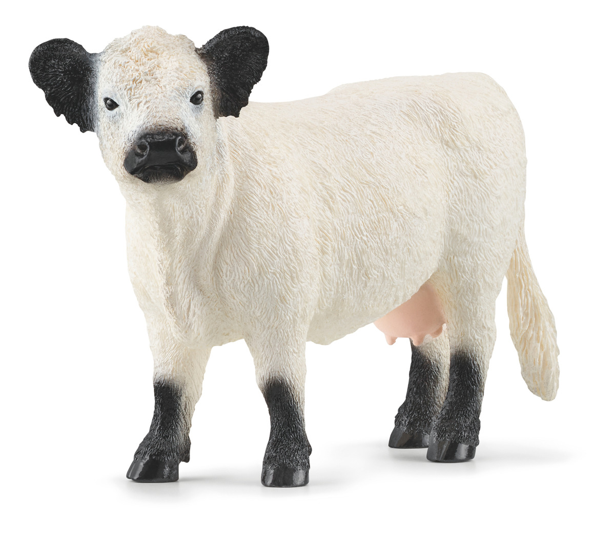 Figura Vaca Ternero Galloway Ganado Bebe Schleich Wild Life
