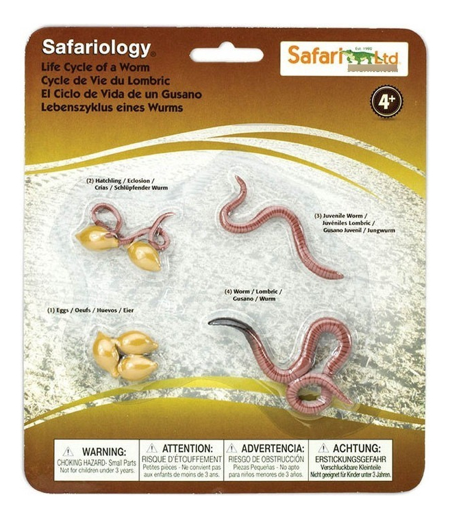 Safari Ciclo De Vida De Un Gusano Juguete Didáctico Trex