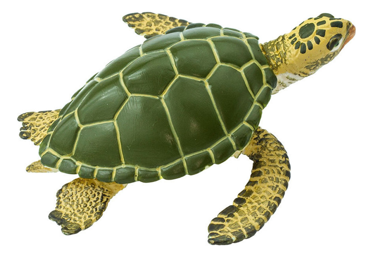 Figura Safari Tortuga Marina Muñeco Juguete Animal Oceano Tx