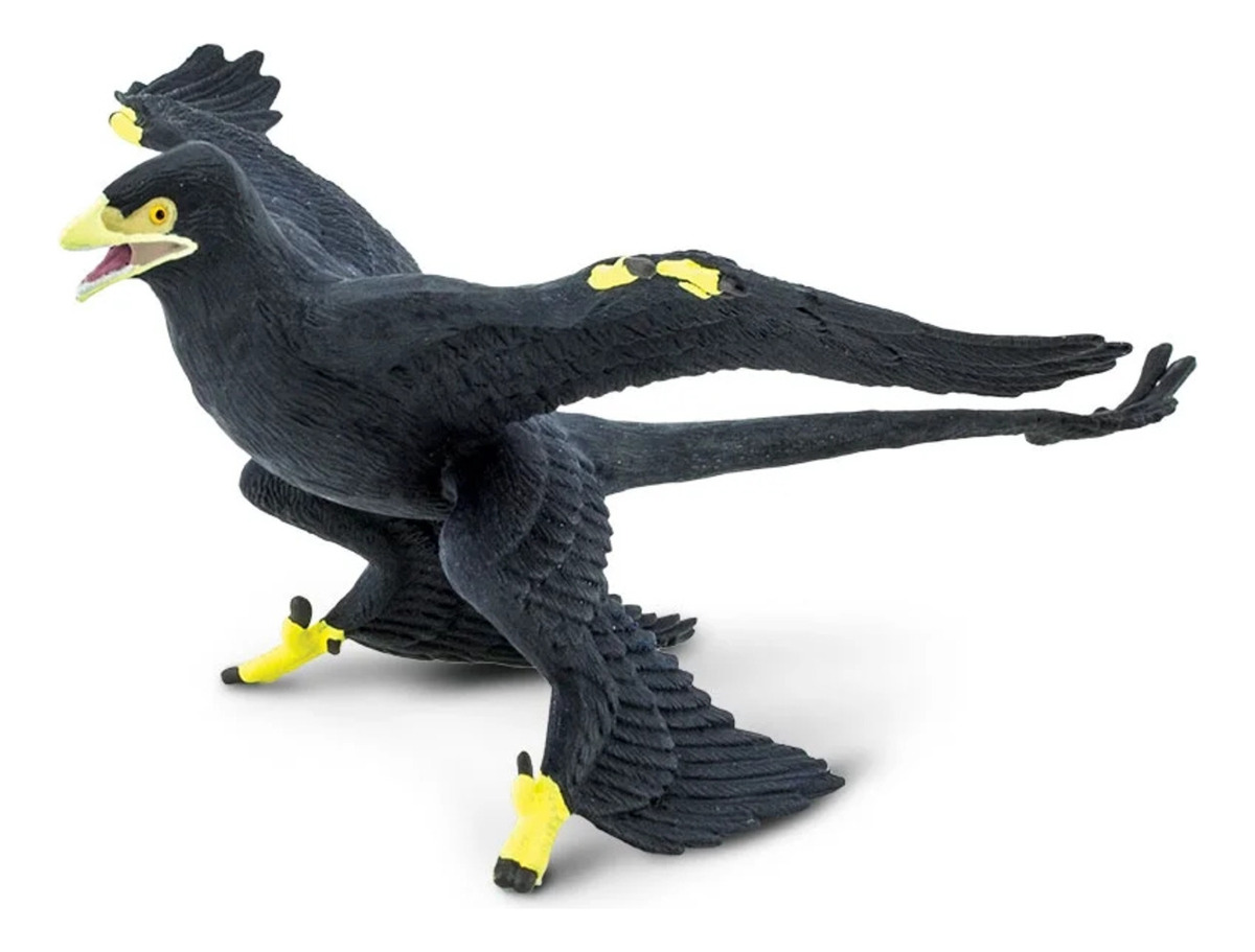 Figura Realista Microraptor Prehistórico Plumas Safari Trex