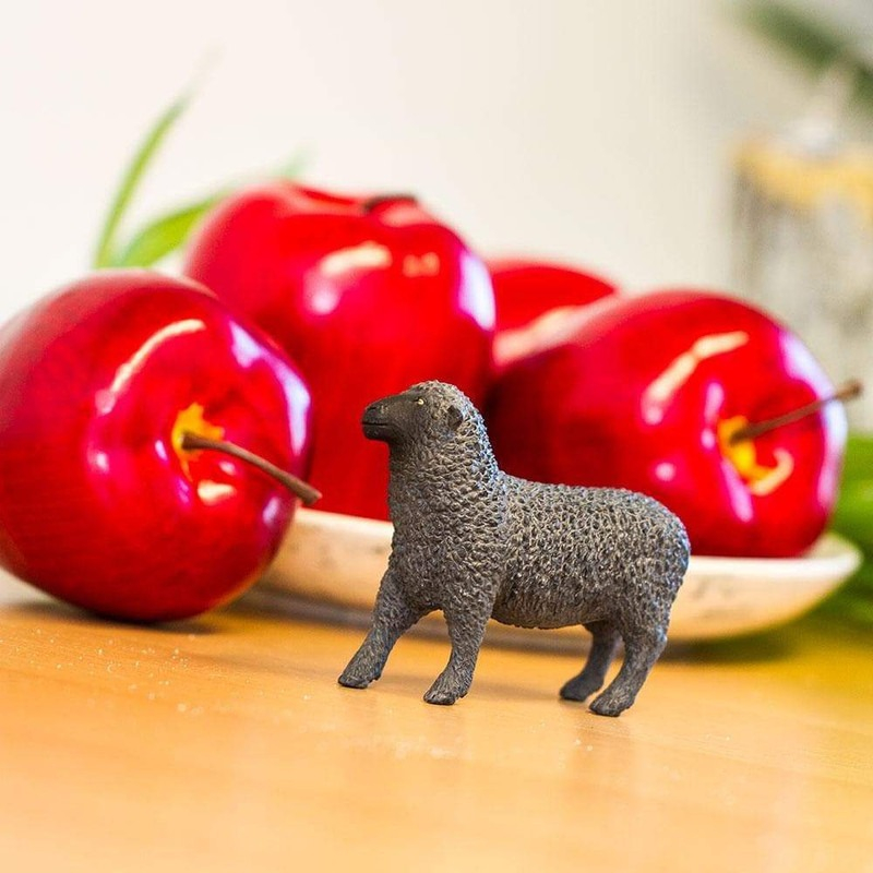 Oveja Negra Black Sheep Safari Figura Muñeco Realista Atri