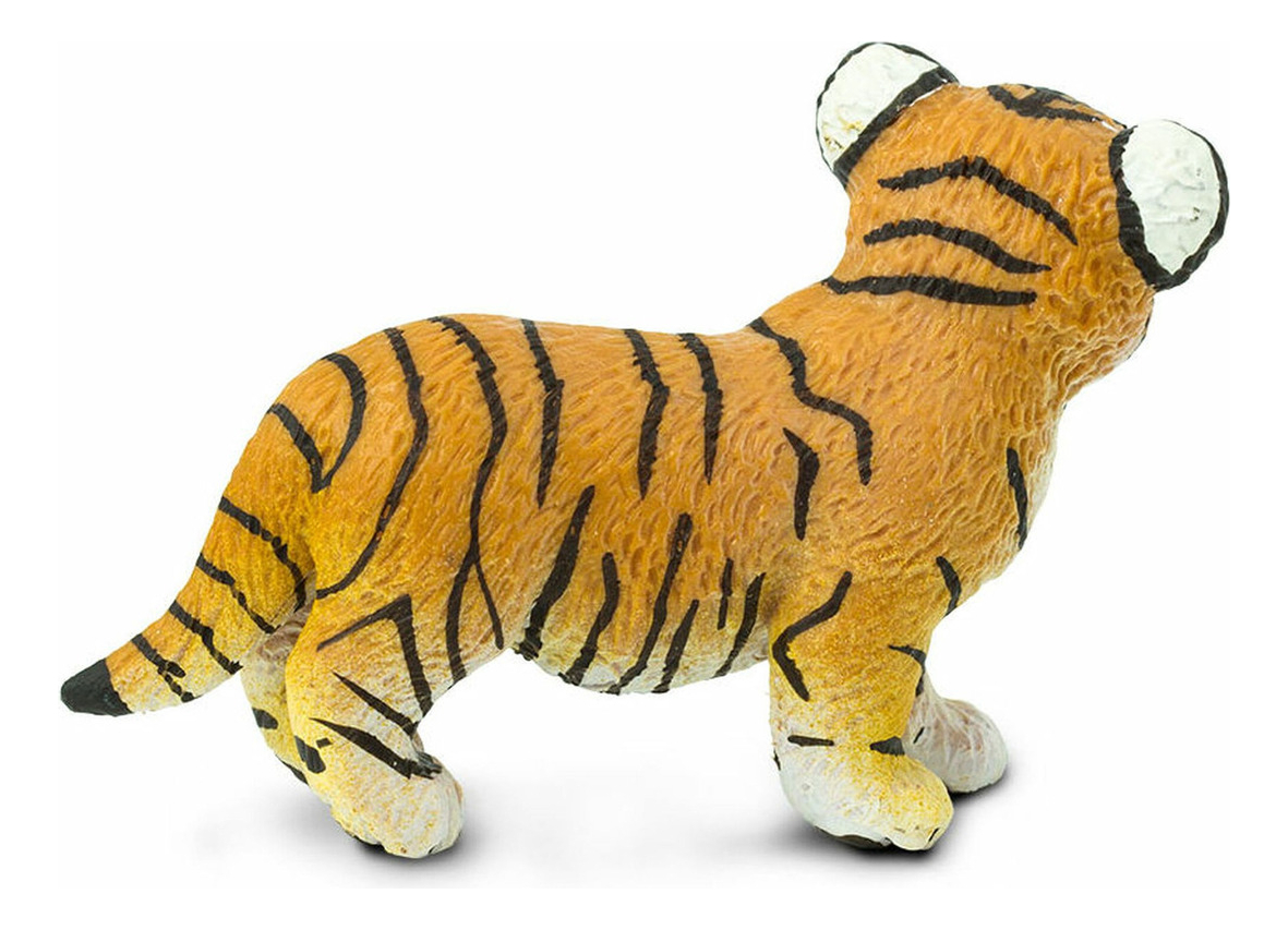 Tigre Bengala Bebé Mamifero Safari Felino Realista Niño Tx