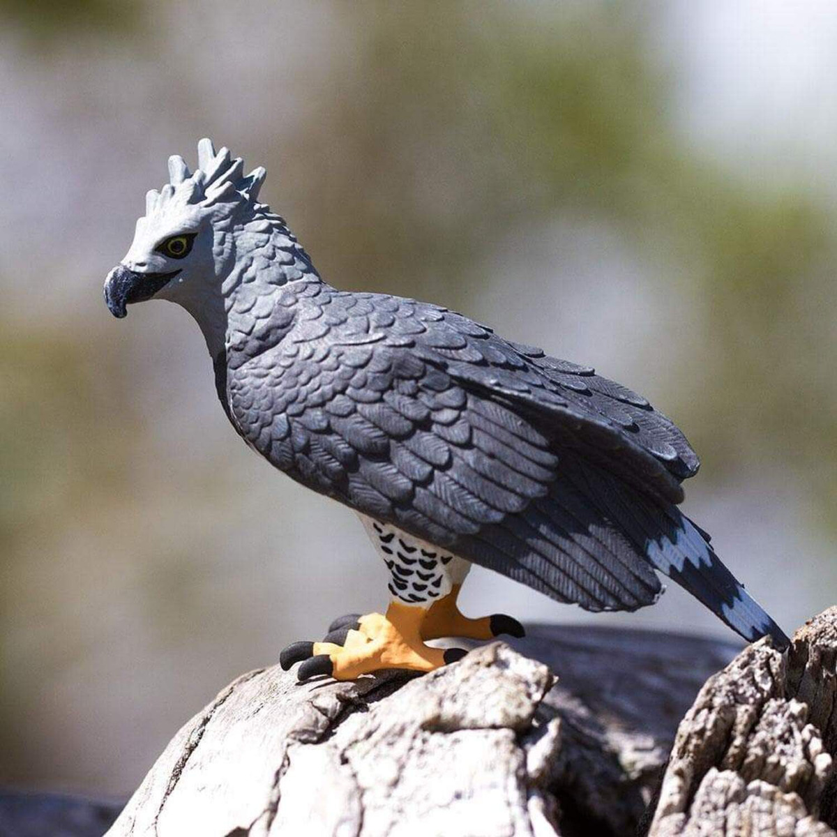 Figura Realista Águila Arpía Aves Salvajes Safari Trex