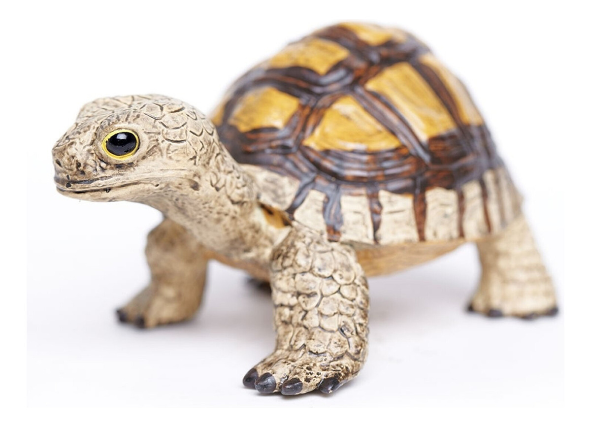 Figura Realista Tortuga Tierra Detallada Safari Trex