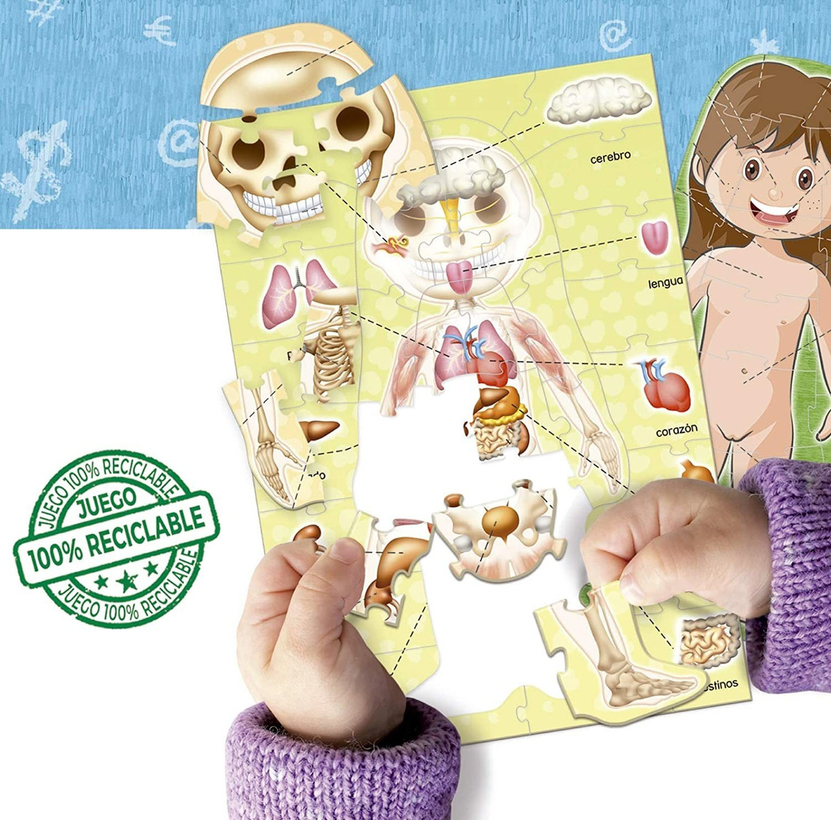 Puzzle Aprender El Cuerpo Humano Rompecabezas Educa Trex