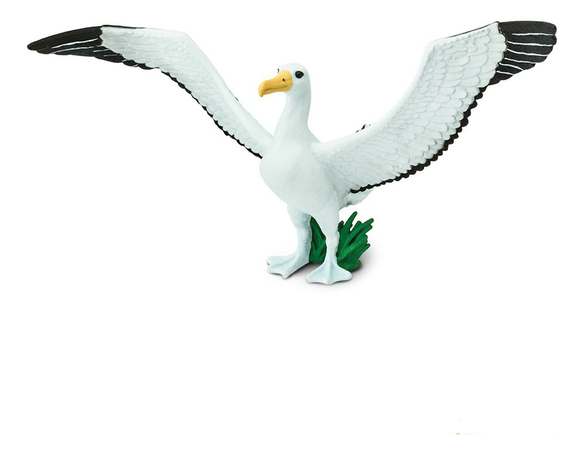 Figura Albatros Gigante Ave Marina Safari Muñeco Niño Trex