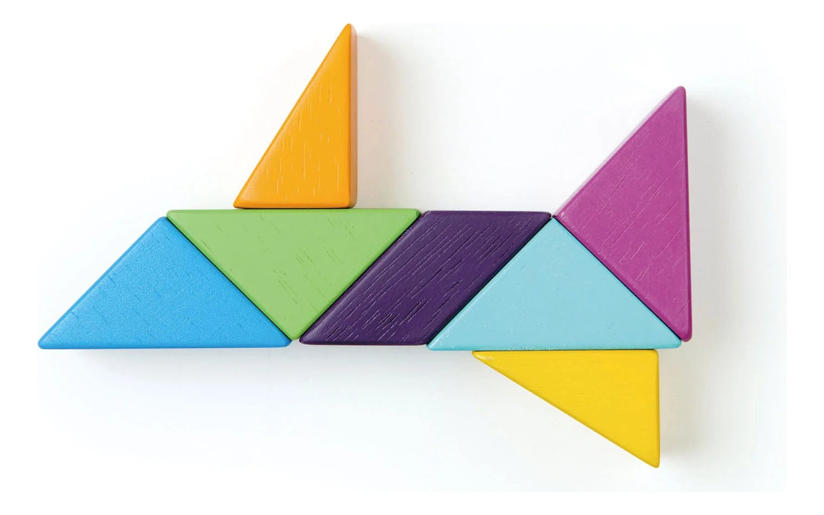Bloques Magneticos Tender Leaf Creatividad Juguete Madera Tx