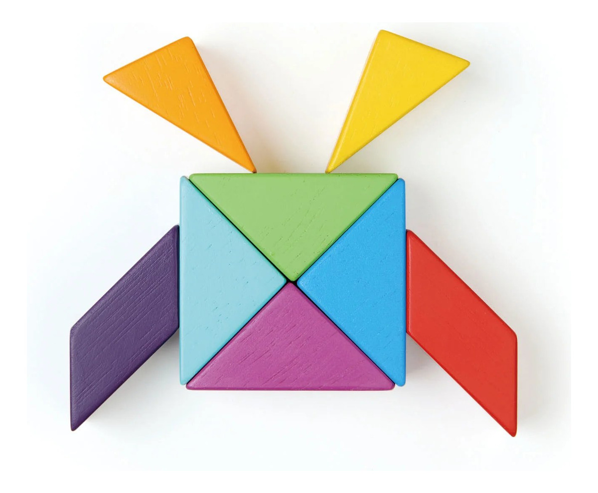 Bloques Magneticos Tender Leaf Creatividad Juguete Madera Tx