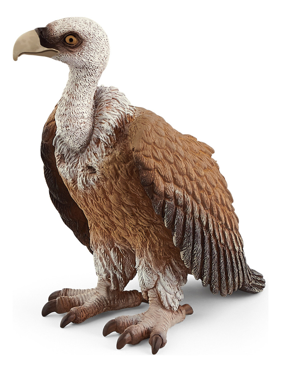 Figura Buitre Griffon Schleich Wild Life Salvaje Juguete Tx
