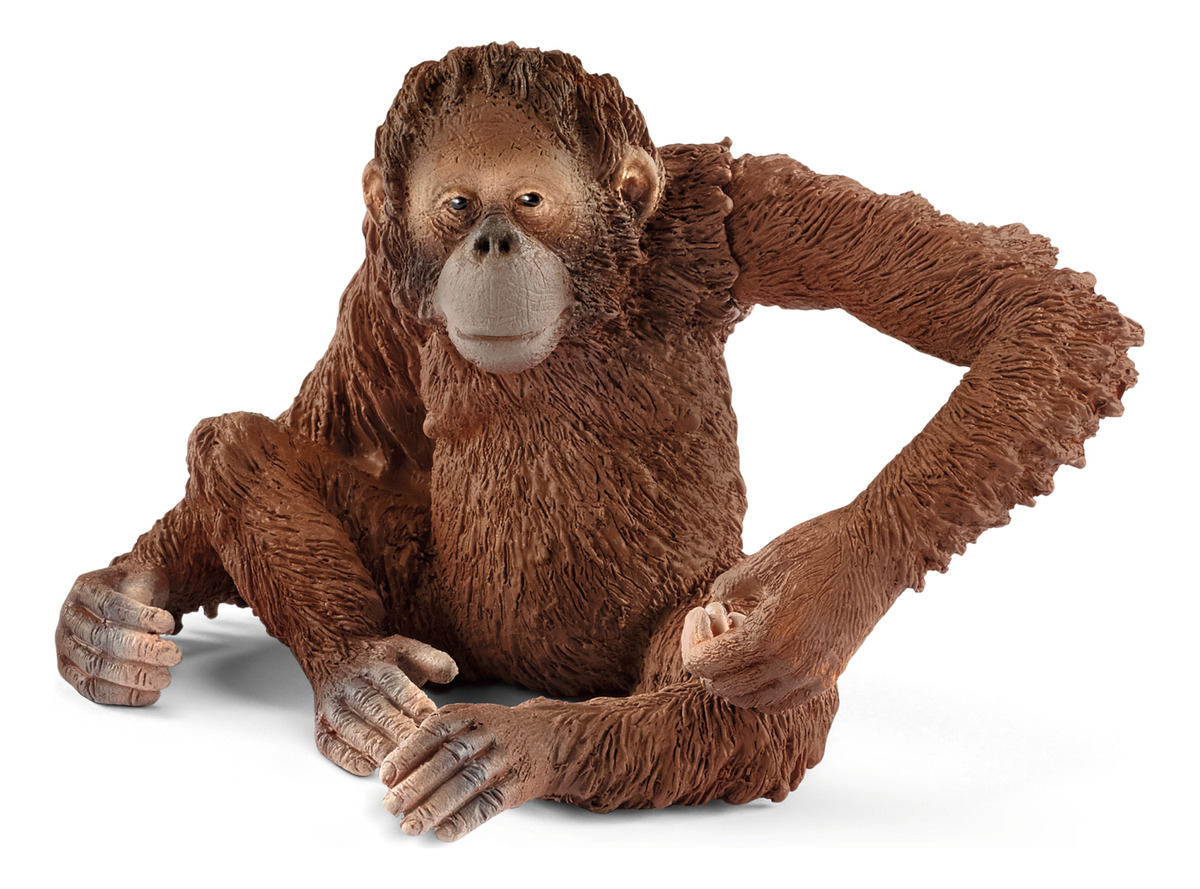 Figura Orangután Hembra Club Wild Life Schleich Trex