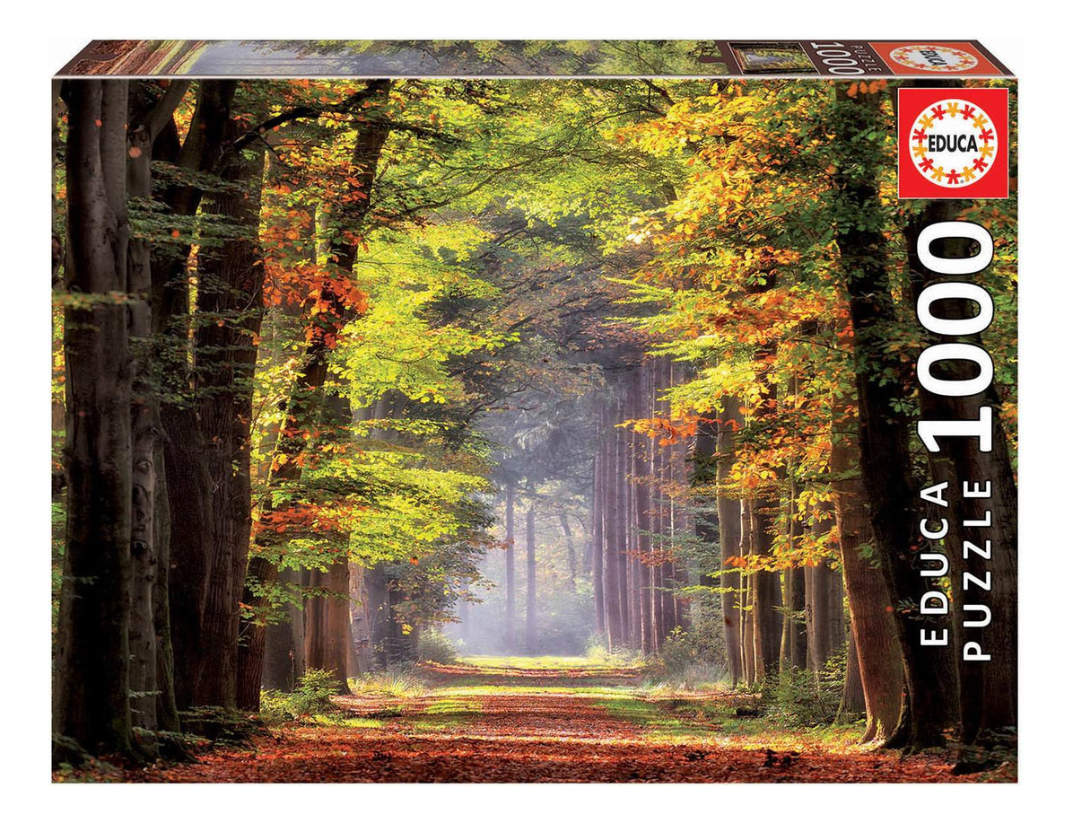 Rompecabeza Puzzle Educa Paseo Otoñal Arboles 1000 Piezas Tx