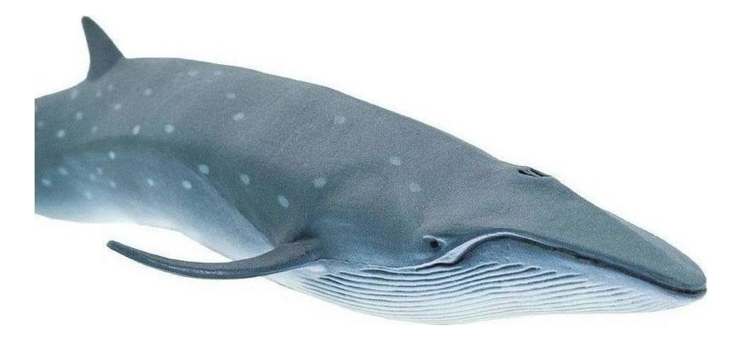 Juguete Safari Para Niño Animal Ballena Sei Figura Grande