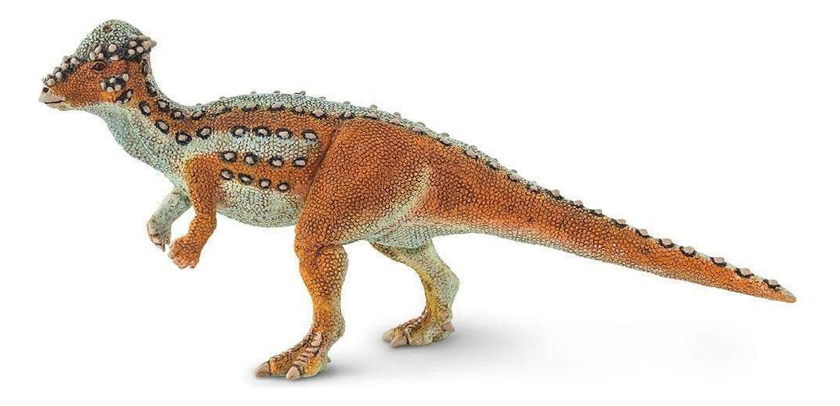 Juguete Safari Figura Dinosaurio Pachycephalosaurus Niño Tx