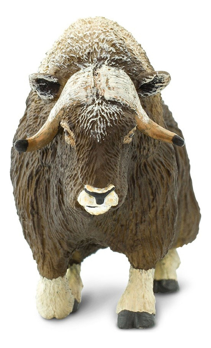 Buey Almizclero Mamifero Escala Safari Muñeco Animal Trex