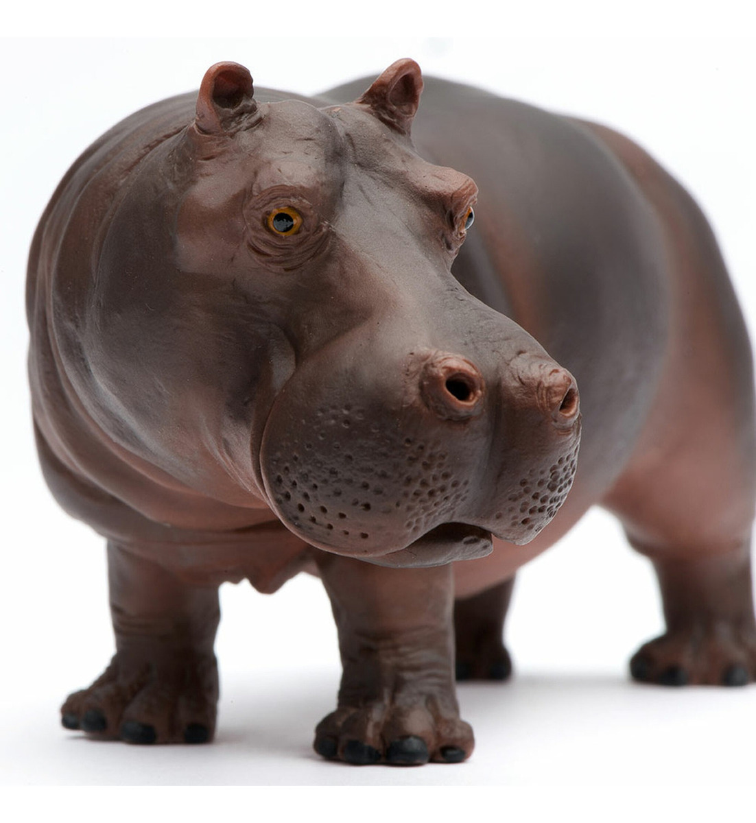 Hipopotamo Figura Safari Hippopotamus Escala Muñeco Trex