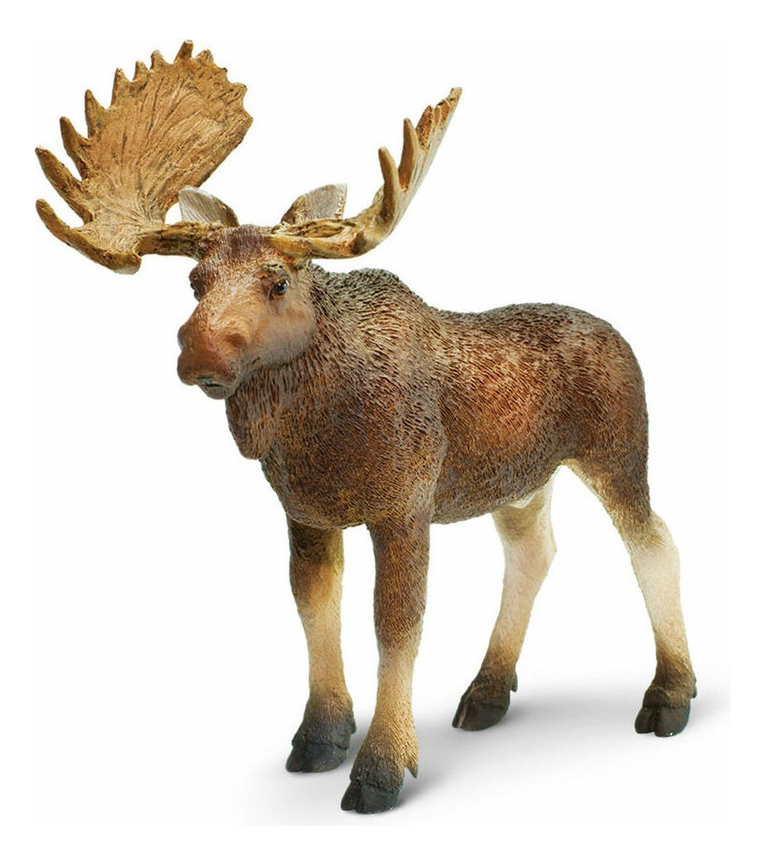 Alce Macho Safari Figura Muñeco Safari Animal Colección Tx