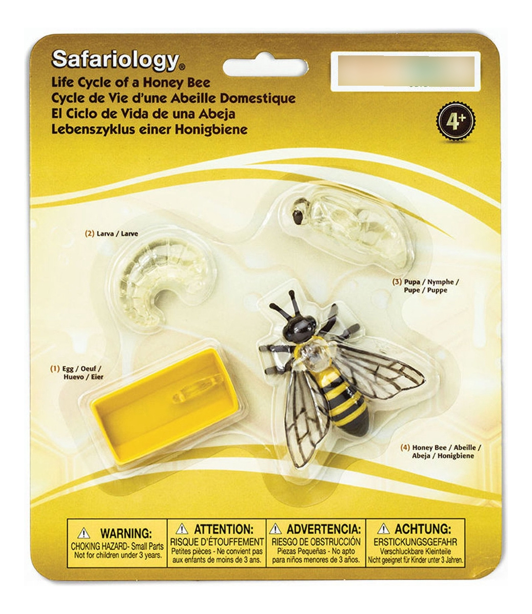 Ciclo De Vida Abeja Juguete Safari Didactico Infantil Niño